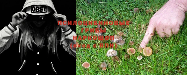 ECSTASY Балабаново