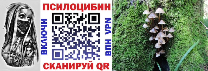 Галлюциногенные грибы Psilocybine cubensis  где можно купить наркотик  Гаврилов-Ям 